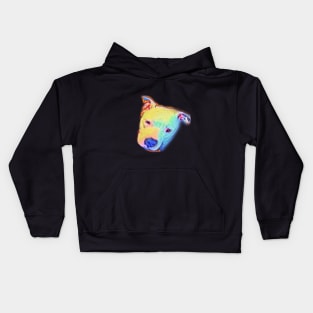 Pitbull Kids Hoodie